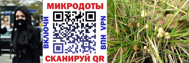 Псилоцибиновые грибы прущие грибы  даркнет сайт  kraken онион  Полесск 