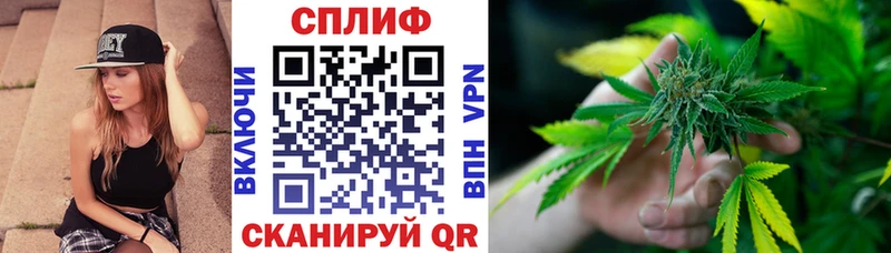 Бошки марихуана сатива гидра рабочий сайт Полесск